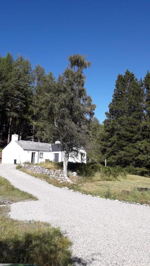 Torgoyle Cottage Ίνβερνες Εξωτερικό φωτογραφία